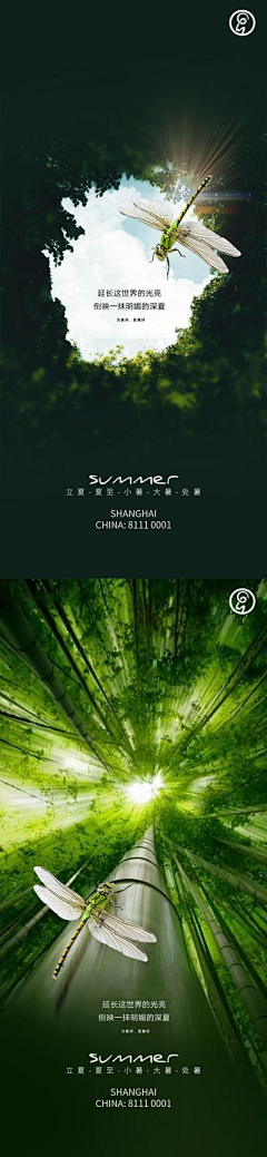 用户2FZWiPH7采集到夏至