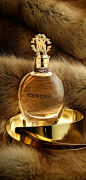 Tom Ford ● Black Orchid. Sensuous top notes of Black Truffle and Ylang mingled with fresh Bergamot and delectable Black Currant. Dramatic middle notes of dark, tempting Florals and rich Fruit Accords. The heart is deepened with intoxicating Lotus Wood. De