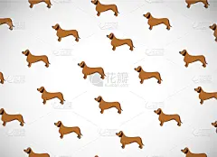 可爱的,纯种犬,狗,动画片,贺卡,分离着色,白色,宠物,纺织品,问候