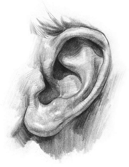 finished ear