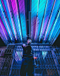 #lensbible | Tofo.me · 中文Instagram网页版