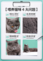 凯锐思红肉猫罐头猫咪幼猫成猫增肥营养整箱零食发腮170g*40罐-tmall.com天猫