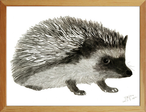 钢笔画刺猬装饰画现代简约工艺画工笔画客厅卧室书房动物淘宝网