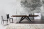 BIG TABLE - Dining tables from Bonaldo | Architonic : BIG TABLE - Designer Dining tables from Bonaldo ✓ all information ✓ high-resolution images ✓ CADs ✓ catalogues ✓ contact information ✓ find..