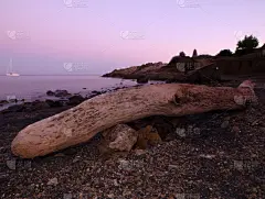 海滩,树干,厄尔巴岛,伊特鲁里亚海,水,沙子,平视角,曙暮光,手电筒,石头