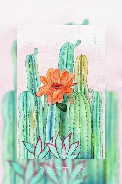 一百多张水彩画，有多肉仙人掌、花卉、水果、昆虫，这里简直就是一个大型花鸟市场！