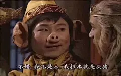 沙雕表情包更新，拿图互动

不错，我不是人，我根本就是头猪
恰恰相反
我把你妈捉起来
我十几岁，给个面子
失忆...展开全文c