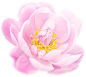 png唯美鲜花花卉花朵素材 艺术插画素材 粉色花朵
@冒险家的旅程か★