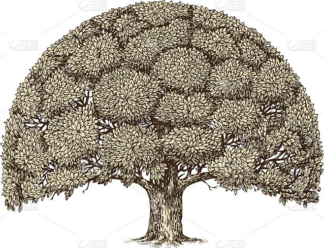 树叶的树。手绘草图老橡树。自然