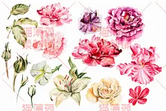 cm09紫阳花牡丹花树叶婚礼请柬贺卡印刷唯美水彩手绘素材-淘宝网