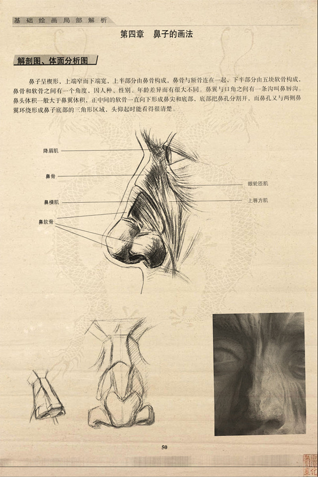 五官的画法：素描局部解析