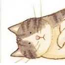 貓奶奶
