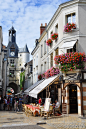 Amboise on the banks of the Loire River, France.