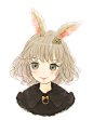 rabbit