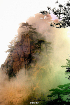裤子越来越短暗恋越来越长采集到风景