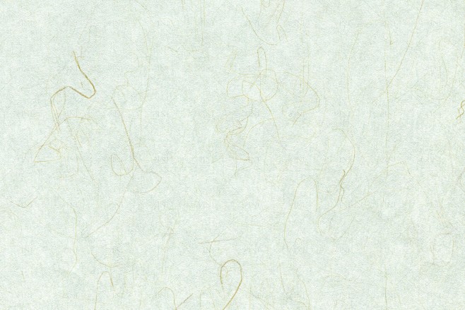 纸张纹理背景素材1 (244)