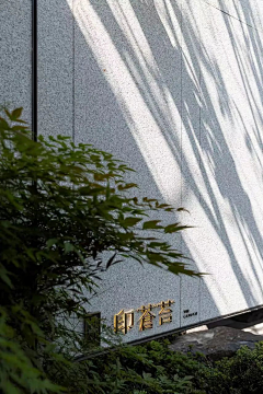 ~LSY~采集到板式借鉴