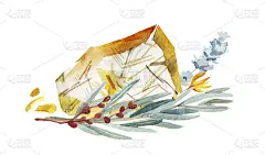 水彩手绘花卉和水晶石安排插图孤立在白色背景