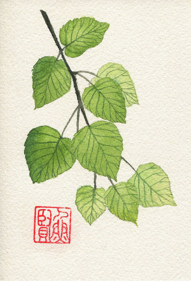 叶子