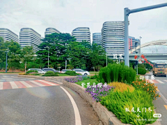 萍叶何田田采集到渠化岛