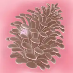 一个小人物退回到一个松果状的物体中