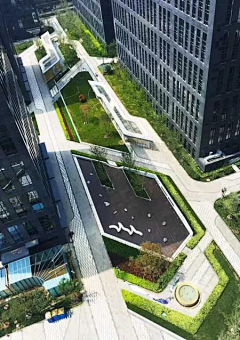 迪路兽进化采集到线性
