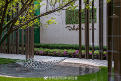 黄panpan采集到意向图
