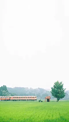 【高清手机壁纸。风景美图。晚霞森林。城市风光摄影。设计灵感。手机桌面锁屏。日系韩系欧美。】❤️