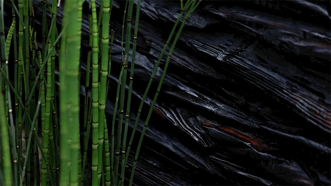 与自然共感-麓湖W2悦溪样板岛 / DE...