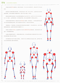 Z的收藏馆采集到艺用人体结构与解剖