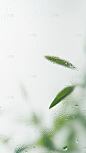背景系列竹叶光影肌理模糊感背景