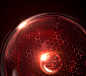 f0787cf36f34be52872abf627b034533eb514338b0877-TaMRPN_看图王