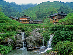 迟到的红叶采集到场景参考风景