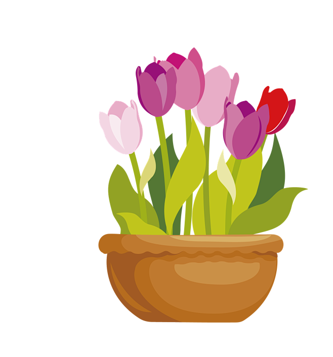 扁平植物 花卉 郁金香 ins绿植 小花 盆栽 png