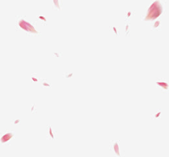 喜欢睡觉的-C采集到漂浮素材png