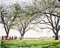 KINFOLK晚餐： AUSTIN, TEXAS