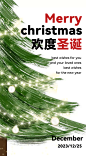 圣诞简约海报-志设网-zs9.com