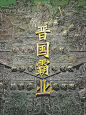 晋国