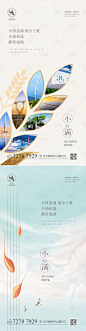 小满节气海报-源文件