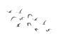 大雁