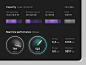 Server monitoring app | Drive management dashboard by George Lov for Fireart Studio on Dribbble