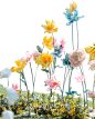 图层 1