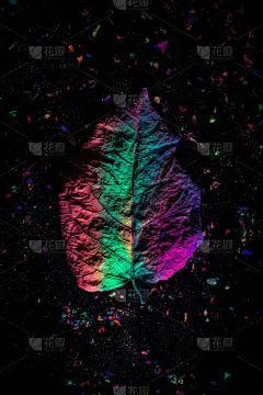 秋天,叶子,抽象,在下面,黑色背景,紫外线辐射,高对比度,纹理效果,超现实主义的,暗色