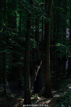 AXCNQJYu采集到森林公园人像写真摄影参考