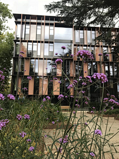 BoundlessQ采集到学校