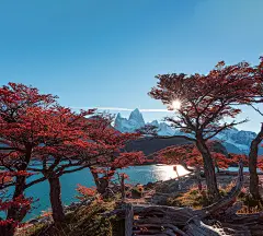 中国拉萨西藏自治区菲茨罗伊山2