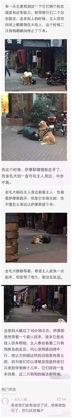 李梓枫采集到优秀