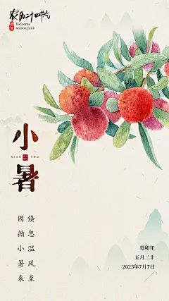 小暑节气杨梅海报-源文件