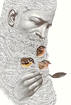 鸟绘画系列图集丨鸟手绘水彩油画插画艺术作品精选