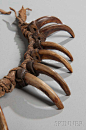 Sold at auction Plains Indian Grizzly Bear Claw Necklace Auction Number 3005B Lot Number 165 | Skinner Auctioneers